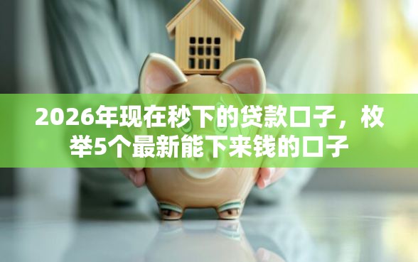 2026年现在秒下的贷款口子，枚举5个最新能下来钱的口子
