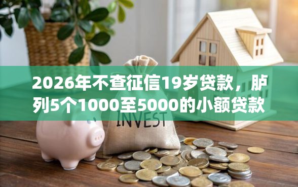 2026年不查征信19岁贷款，胪列5个1000至5000的小额贷款app