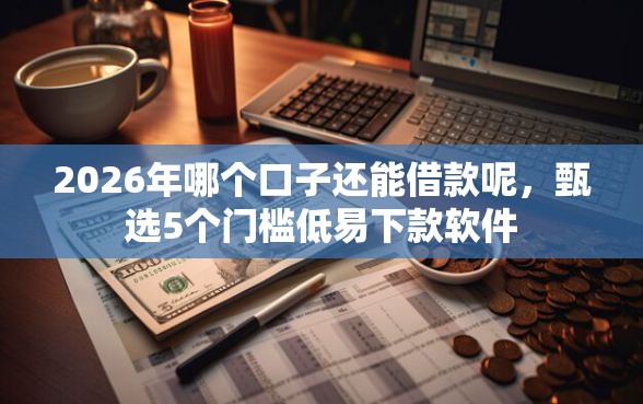 2026年哪个口子还能借款呢，甄选5个门槛低易下款软件