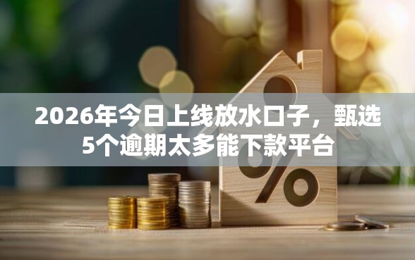 2026年今日上线放水口子，甄选5个逾期太多能下款平台