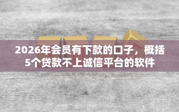 2026年会员有下款的口子，概括5个贷款不上诚信平台的软件