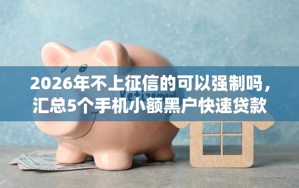 2026年不上征信的可以强制吗，汇总5个手机小额黑户快速贷款app