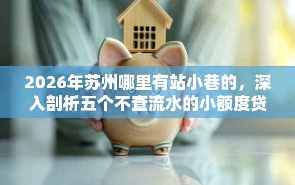 2026年苏州哪里有站小巷的，深入剖析五个不查流水的小额度贷款平台