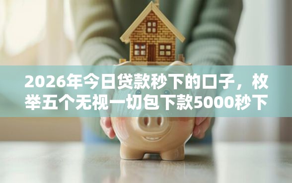 2026年今日贷款秒下的口子，枚举五个无视一切包下款5000秒下款的软件