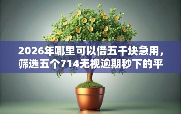 2026年哪里可以借五千块急用，筛选五个714无视逾期秒下的平台