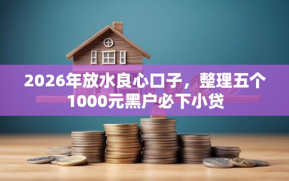 2026年放水良心口子，整理五个1000元黑户必下小贷