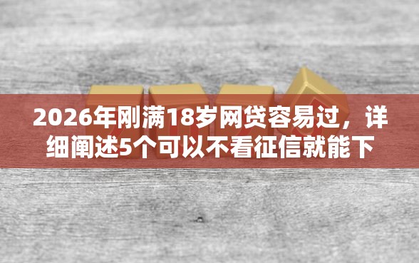 2026年刚满18岁网贷容易过，详细阐述5个可以不看征信就能下款的软件