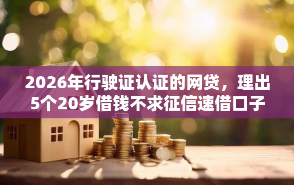 2026年行驶证认证的网贷，理出5个20岁借钱不求征信速借口子