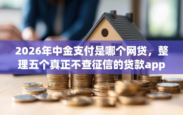2026年中金支付是哪个网贷，整理五个真正不查征信的贷款app