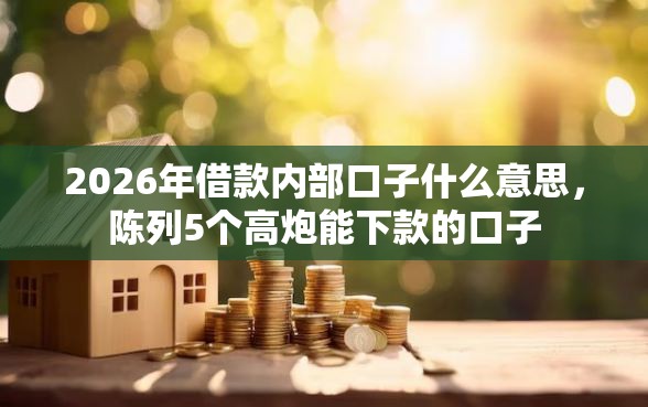 2026年借款内部口子什么意思，陈列5个高炮能下款的口子