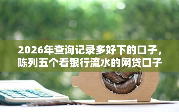 2026年查询记录多好下的口子，陈列五个看银行流水的网贷口子