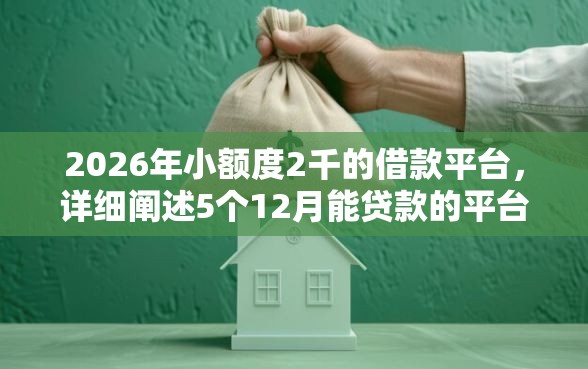 2026年小额度2千的借款平台，详细阐述5个12月能贷款的平台