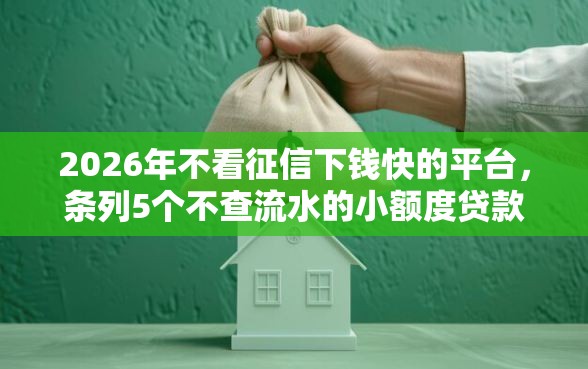 2026年不看征信下钱快的平台，条列5个不查流水的小额度贷款平台