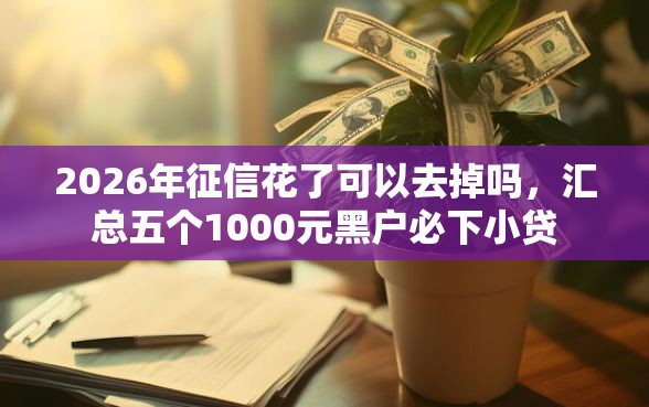 2026年征信花了可以去掉吗，汇总五个1000元黑户必下小贷