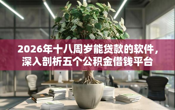 2026年十八周岁能贷款的软件，深入剖析五个公积金借钱平台