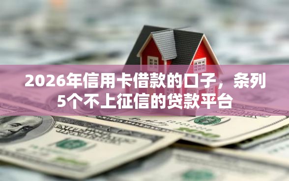 2026年信用卡借款的口子，条列5个不上征信的贷款平台