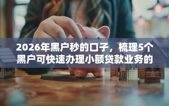 2026年黑户秒的口子，梳理5个黑户可快速办理小额贷款业务的平台