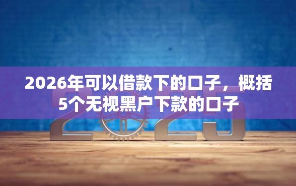 2026年可以借款下的口子，概括5个无视黑户下款的口子