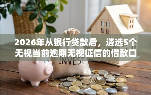 2026年从银行贷款后，遴选5个无视当前逾期无视征信的借款口子