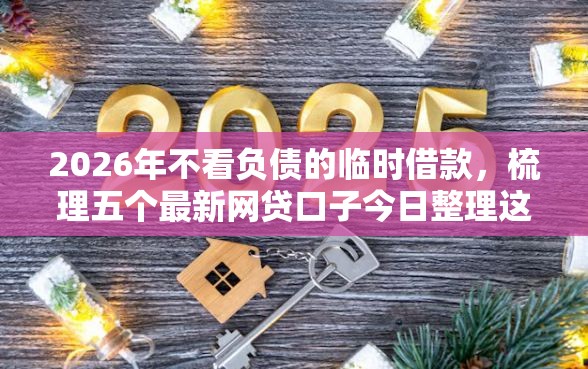 2026年不看负债的临时借款，梳理五个最新网贷口子今日整理这五个口子