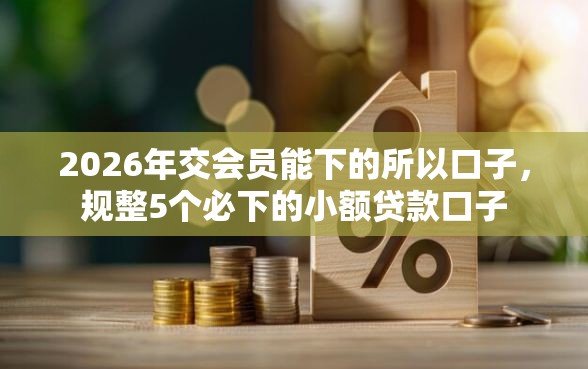2026年交会员能下的所以口子，规整5个必下的小额贷款口子
