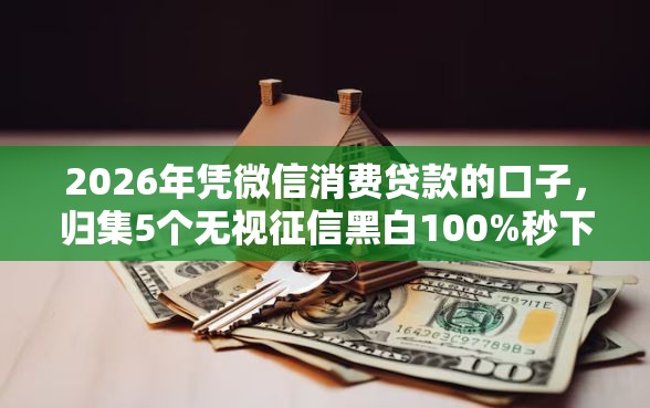 2026年凭微信消费贷款的口子，归集5个无视征信黑白100%秒下网贷平台