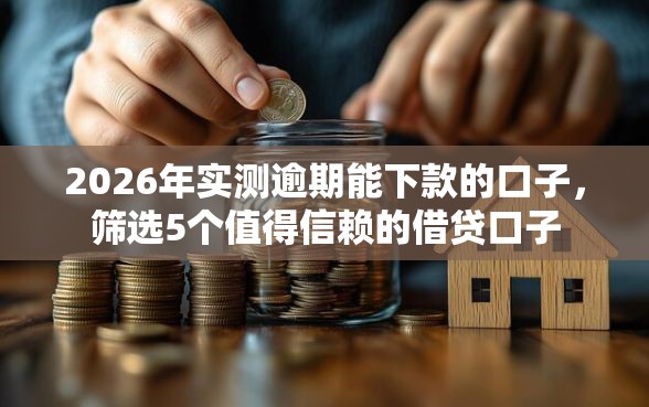 2026年实测逾期能下款的口子，筛选5个值得信赖的借贷口子