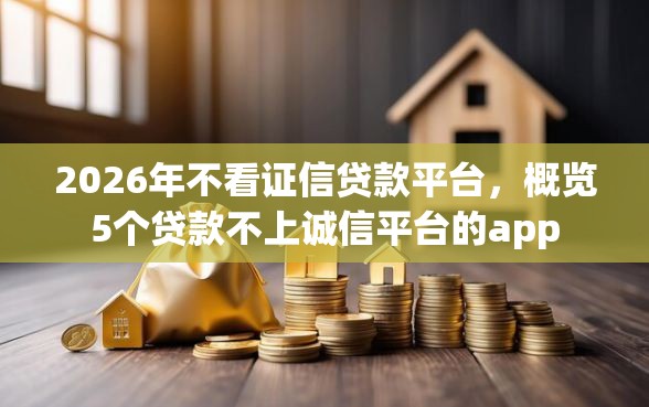 2026年不看证信贷款平台，概览5个贷款不上诚信平台的app