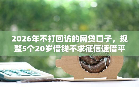 2026年不打回访的网贷口子，规整5个20岁借钱不求征信速借平台