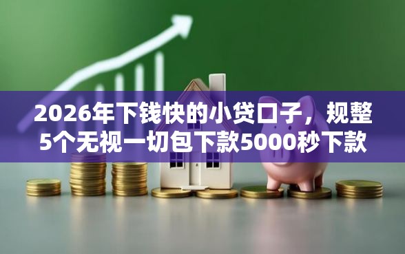 2026年下钱快的小贷口子，规整5个无视一切包下款5000秒下款的口子
