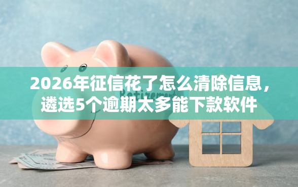 2026年征信花了怎么清除信息,遴选5个逾期太多能下款软件 2026年征信花了怎么清除信息,遴选5个逾期太多能下款软件