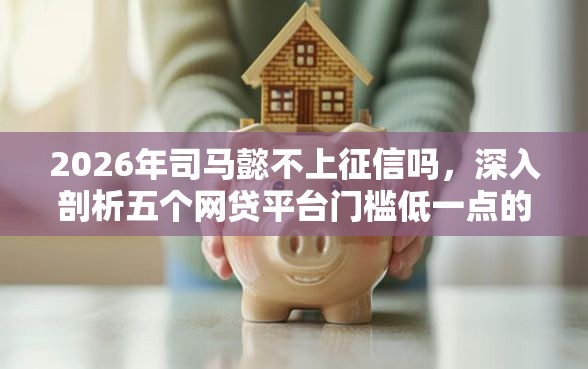 2026年司马懿不上征信吗，深入剖析五个网贷平台门槛低一点的平台