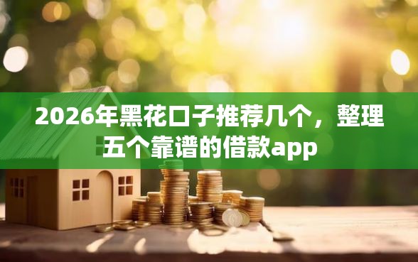 2026年黑花口子推荐几个，整理五个靠谱的借款app
