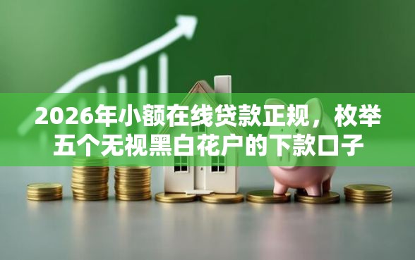 2026年小额在线贷款正规，枚举五个无视黑白花户的下款口子