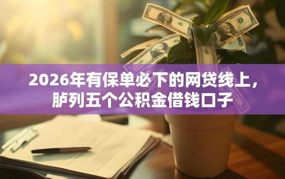 2026年有保单必下的网贷线上，胪列五个公积金借钱口子