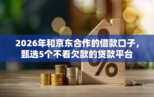 2026年和京东合作的借款口子，甄选5个不看欠款的贷款平台