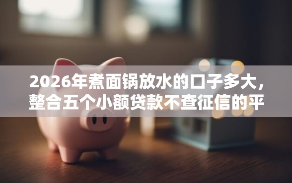 2026年煮面锅放水的口子多大，整合五个小额贷款不查征信的平台