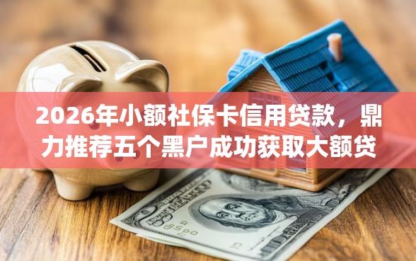 2026年小额社保卡信用贷款，鼎力推荐五个黑户成功获取大额贷款的app