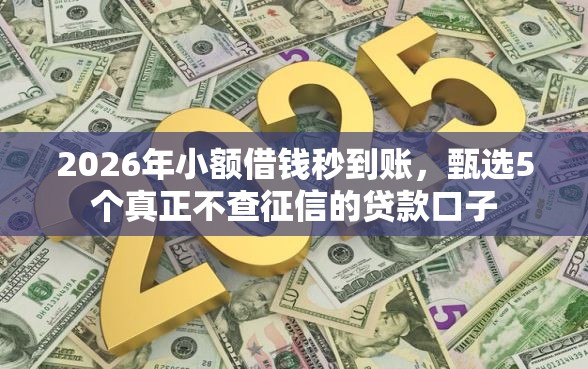 2026年小额借钱秒到账，甄选5个真正不查征信的贷款口子