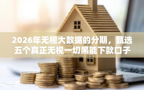 2026年无视大数据的分期，甄选五个真正无视一切黑能下款口子