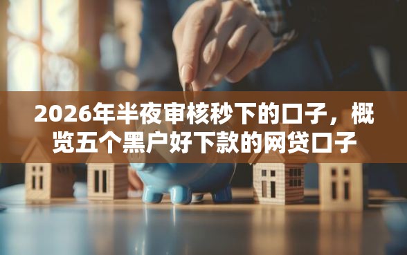 2026年半夜审核秒下的口子，概览五个黑户好下款的网贷口子