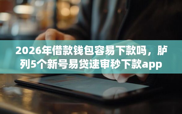2026年借款钱包容易下款吗，胪列5个新号易贷速审秒下款app