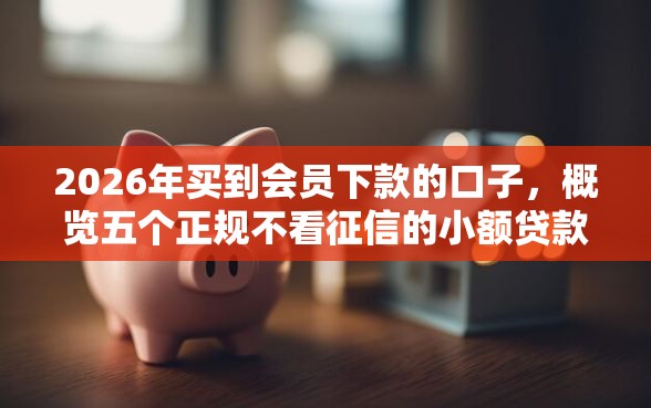 2026年买到会员下款的口子，概览五个正规不看征信的小额贷款口子