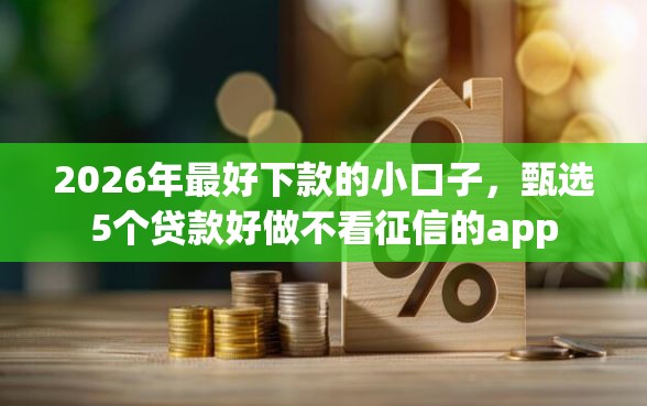 2026年最好下款的小口子，甄选5个贷款好做不看征信的app