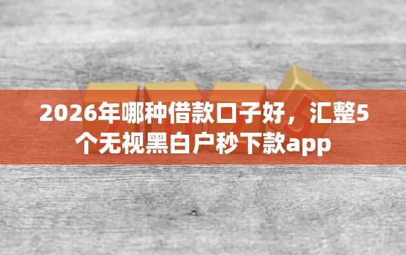 2026年哪种借款口子好，汇整5个无视黑白户秒下款app
