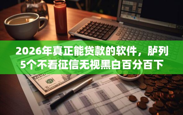 2026年真正能贷款的软件，胪列5个不看征信无视黑白百分百下款app