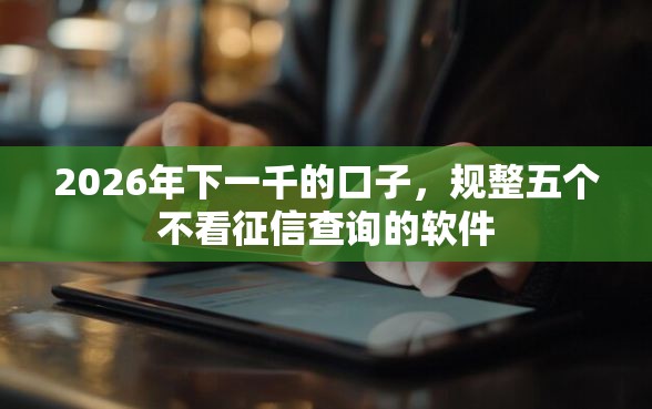 2026年下一千的口子,规整五个不看征信查询的软件 2026年下一千的口子,规整五个不看征信查询的软件