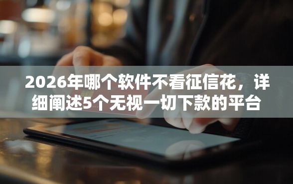 2026年哪个软件不看征信花，详细阐述5个无视一切下款的平台