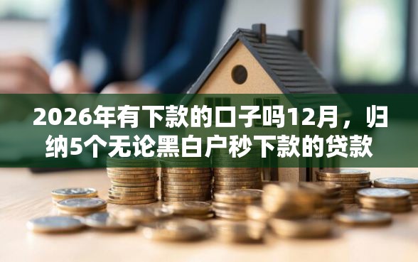 2026年有下款的口子吗12月，归纳5个无论黑白户秒下款的贷款平台