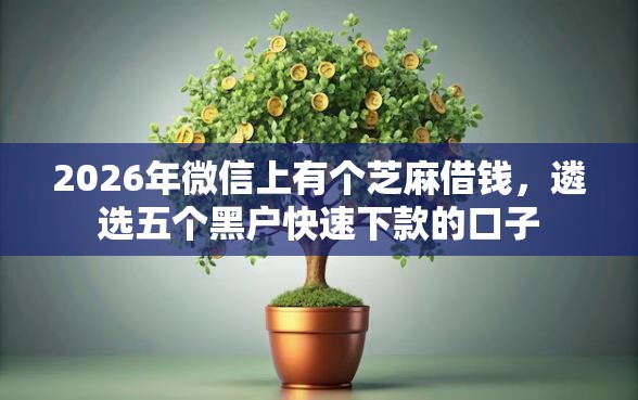 2026年微信上有个芝麻借钱，遴选五个黑户快速下款的口子
